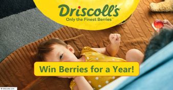 Driscoll's Sweepstakes