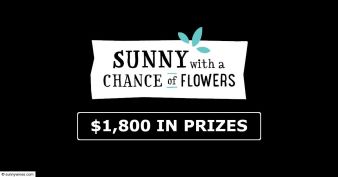 Sunny Wines Sweepstakes