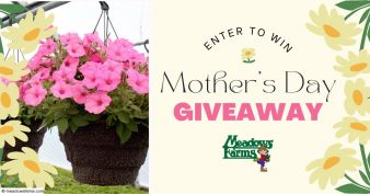 Meadows Farms Giveaway