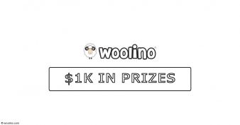 Woolino Giveaway