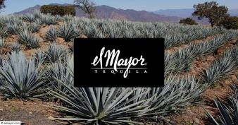 El Mayor Tequila Contest