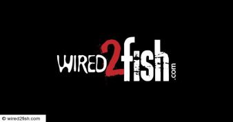 Wired2Fish Giveaway