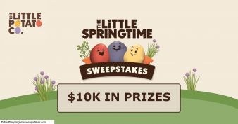 The Little Springtime Sweepstakes