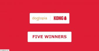 DOGTOPIA + KONG: National Pet Month Sweepstakes